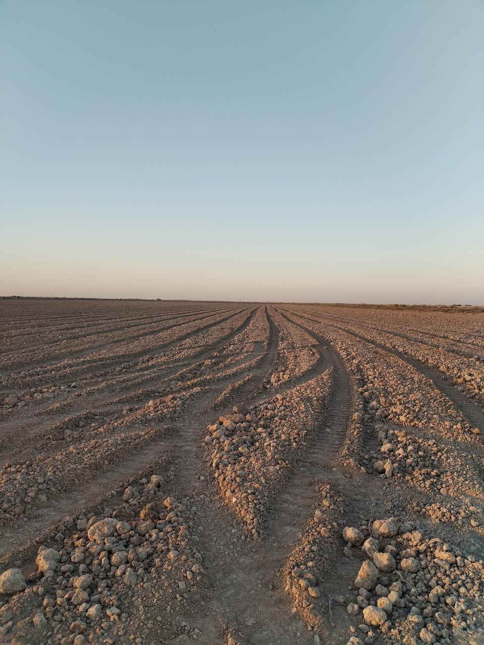 سلام عليكم كاع زراعي عقدين للبيع
١٠٥  ٥٠ مزوعه حنطه و٥٥ بور
المكان كوت واسط المزاك
الاستفسار ***********و ***********
