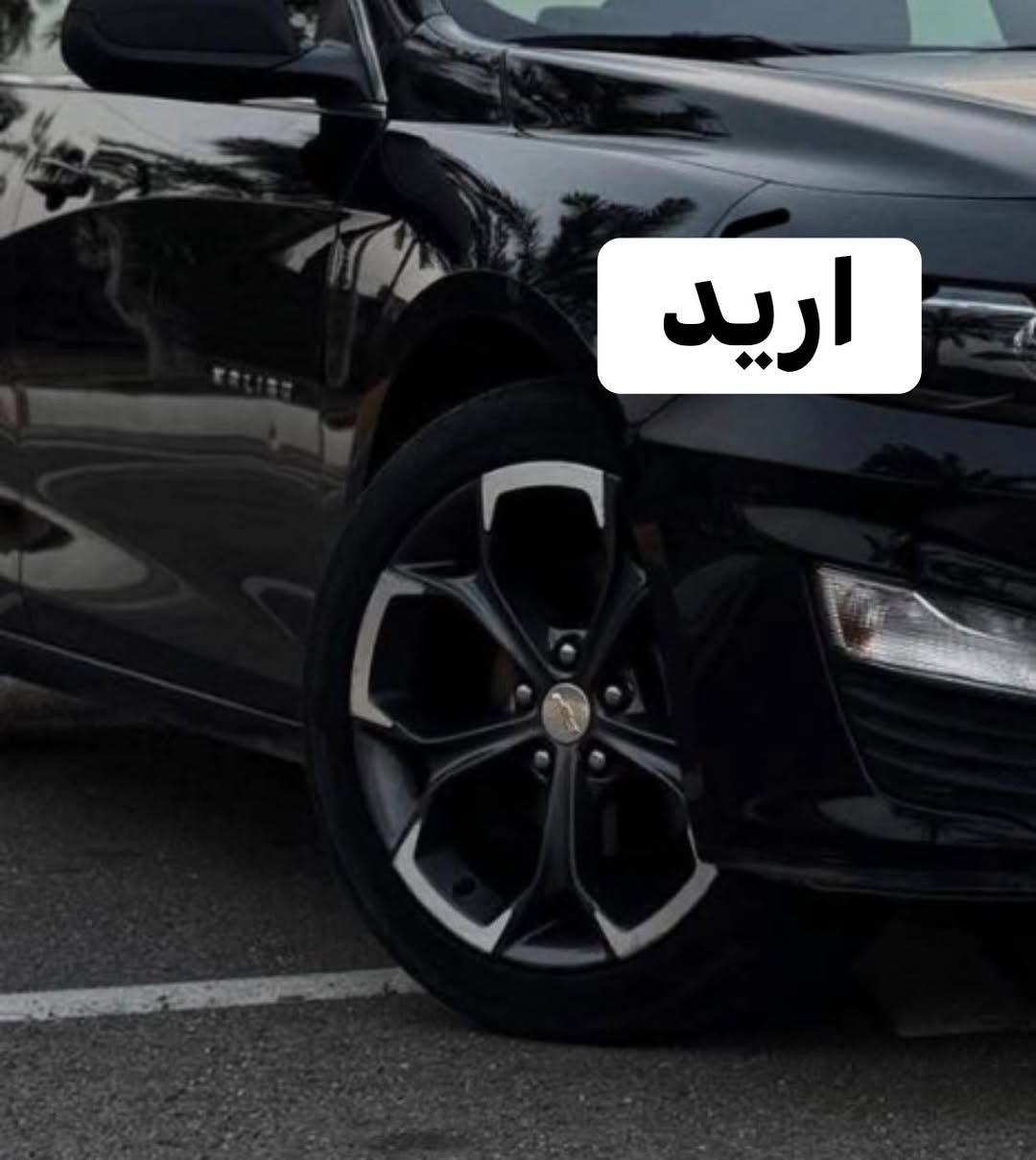 مراوس ويلي جديد مال مديل2023تخم تاير


**إذا كنت صاحب هذا الإعلان وتريد حذفه لأي سبب، رجاءا أرسل رسالة إلى الدعم الفني**