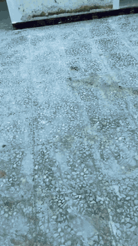 جلي سجاد • خدمة موقعي