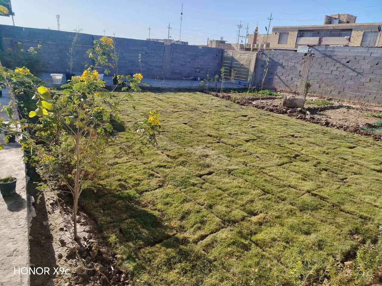 عمل ديكور حديقة او شلالات  حسب الطلب
وتزيين الحديقة وزراعتها بالثيل الطبيعي وشتلات الزينه 
مع اضافة الاسمدة والمبيدات قبل وبعد العمل 
للتواصل 
ذي قار / الرفاعي
***********واتساب
