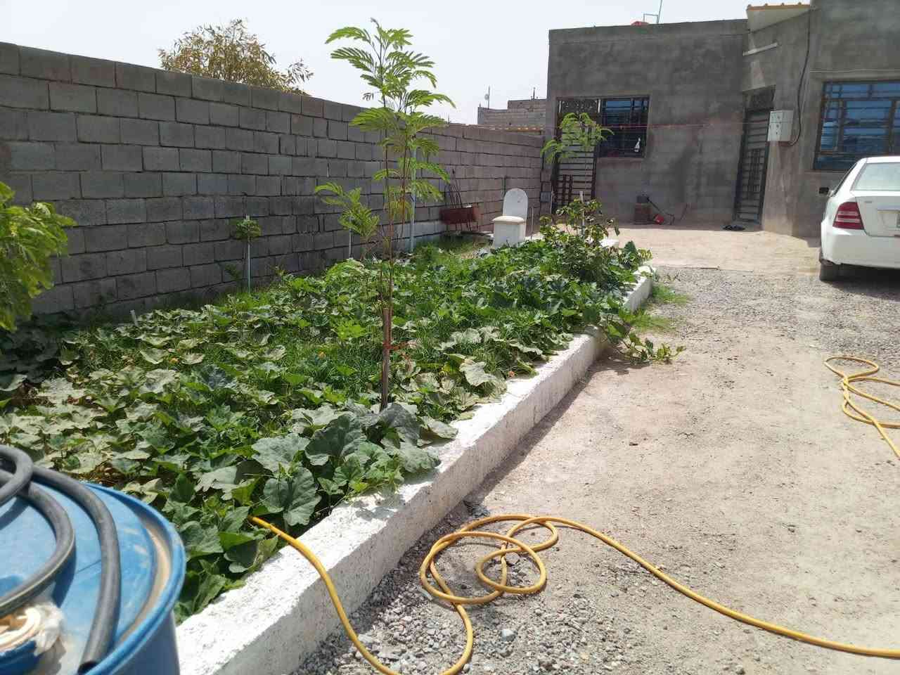 بيت للبيع مساحه 300 قرفتين ومطبخ وديوان صاله حمام داخلي وخارجي سقف سندويج ماء اساله متوفر وكهرباء قويه  العنوان الزبير المكصب قرب سنتر روان  اتصل على الرقم *********** السعر 48 وبيه مجال
