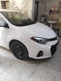 كورلا • وارد كندي • ذي قار