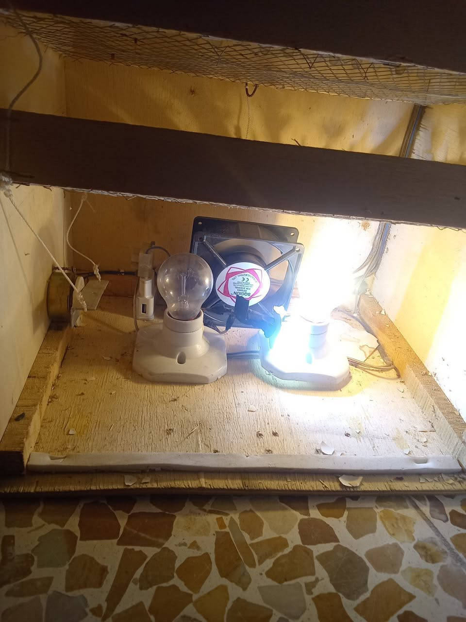 عندي فقاسة للبيع شغالة كاملة المواصفات


**إذا كنت صاحب هذا الإعلان وتريد حذفه لأي سبب، رجاءا أرسل رسالة إلى الدعم الفني**