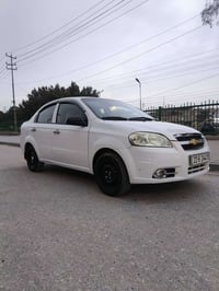 آفيو • ٢٠١٠ • رقم اربيل