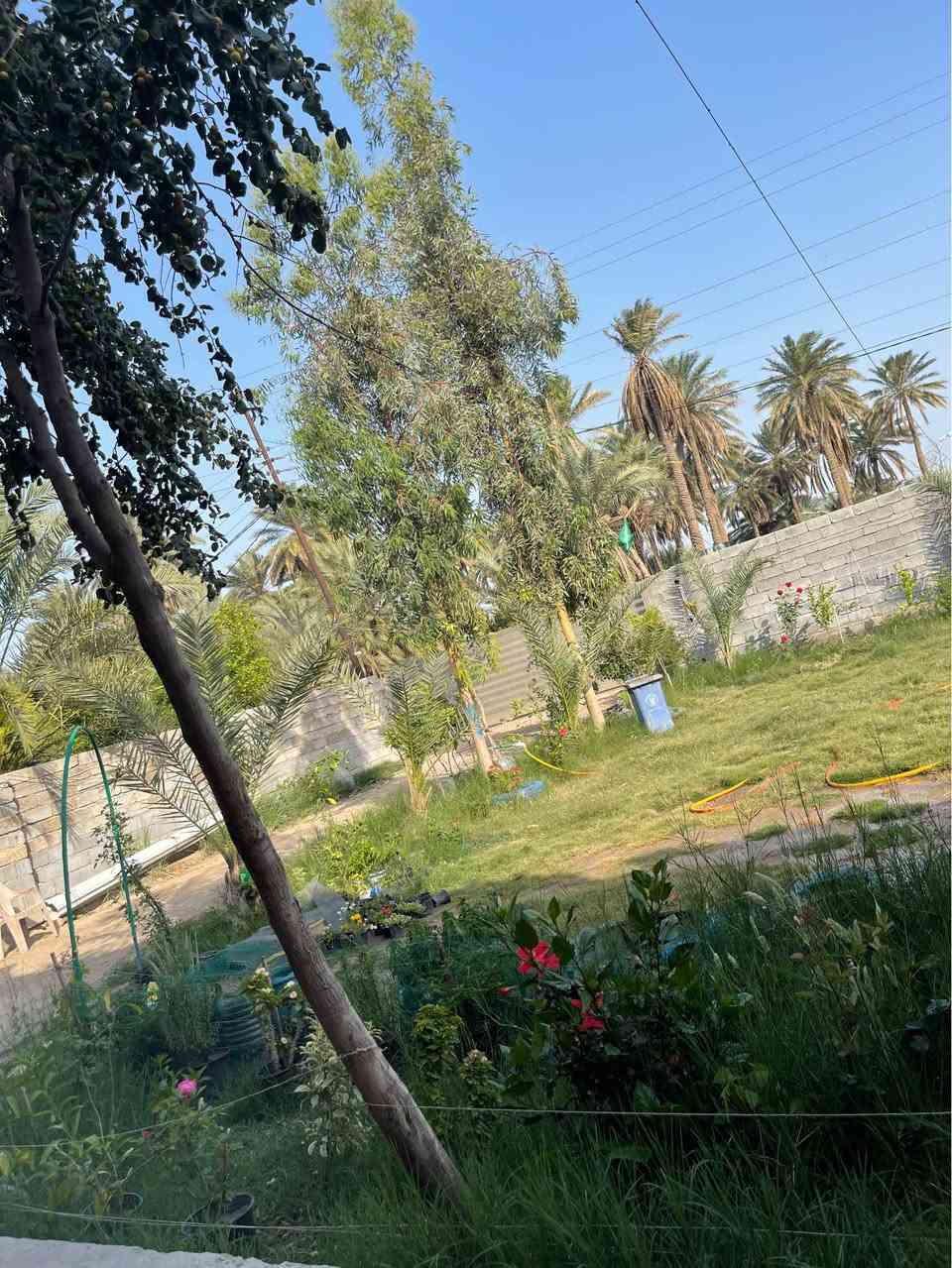 بغداد اليوسفيه القصر الأوسط
دونم وربع مع دار ٣٠٠ متر ٣ غرف نوم كاملات 
الطبخ وحولي والاستقبال لحد الان ممبيضات
مي اساله وصالكهرباء واصل تبليط باب بيتك مولد سحب اكبالك ذهبي 
 السعر 250 مليون قابل للتفاوض 
*********** بغداد, العراق
