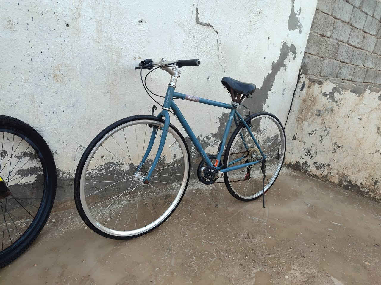 سلام عليكم باسكلين البيع 
نضيفات مكان ديوانيه


**إذا كنت صاحب هذا الإعلان وتريد حذفه لأي سبب، رجاءا أرسل رسالة إلى الدعم الفني**