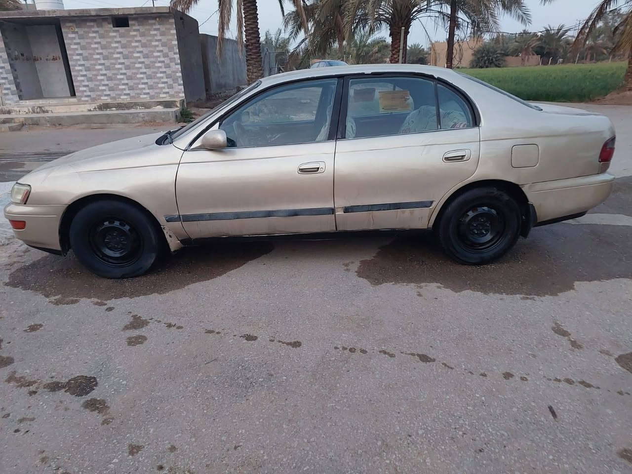 سلام عليكم كرونه نفخ مديل 95 رقم بغداد مشروع وطني سنويه مجدد 28 مداور ثاني يوم مكفوله من كص وضربه ونقل جثه مكينه كير حداديه تخم تاير كله جديد تبريد شغال كهربائيات كله شغاله سنتر لوك تتقفل وتنفتح عل ريمونت سياره جاهزه على أخير حبايه مال جناي سعر 50 وبيه مجال بصيط شراي يتصل *********** مكاني نجف ناحيه الحريه
