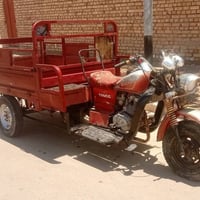 ستوته • اصوليه • معمرات