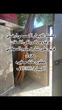 الاصمعي • غرفة • إيجار