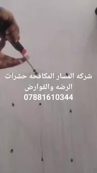 ✅ تعتبر حشرة الارضة من المشاكل المزعجة والمدمرة التي تؤثر على المنازل ...