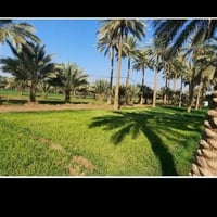 أرض زراعية • ٦ دونم ونصف • الصلاحية الكريطية