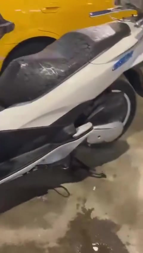 مكفوله نضافه فول 17 ونص


**إذا كنت صاحب هذا الإعلان وتريد حذفه لأي سبب، رجاءا أرسل رسالة إلى الدعم الفني**