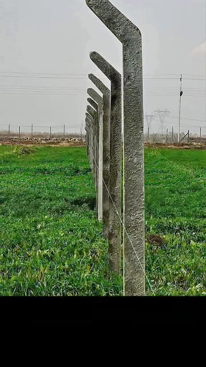 * هل تبحثون عن حلول أنيقة وعملية لأسيجتكم؟ نحن هنا لتقديم أفضل الخيارات بأسيجة الBRC بجودة عالية وأنواع متعددة: بجادر وبدون جادر، بالإضافة إلى السياج العشبي الرائع.
+* الحلول المثالية للأسيجة تبدأ من هنا! تواصلوا معنا الآن لضمان الجودة والإبداع.
* هل تبحثون عن حلول أنيقة وعملية لأسيجتكم؟ نحن هنا لتقديم أفضل الخيارات بأسيجة الBRC بجودة عالية وأنواع متعددة: بجادر وبدون جادر، بالإضافة إلى السياج العشبي الرائع.
يوجد لدينا كرسته وعمل 
و عمل فقط نحنا تقدم لكم افضل الحلول المناسبة 
للطلب والاستفسار، تواصلوا معنا عبر الأرقام التالية: حجي محمد
***********
