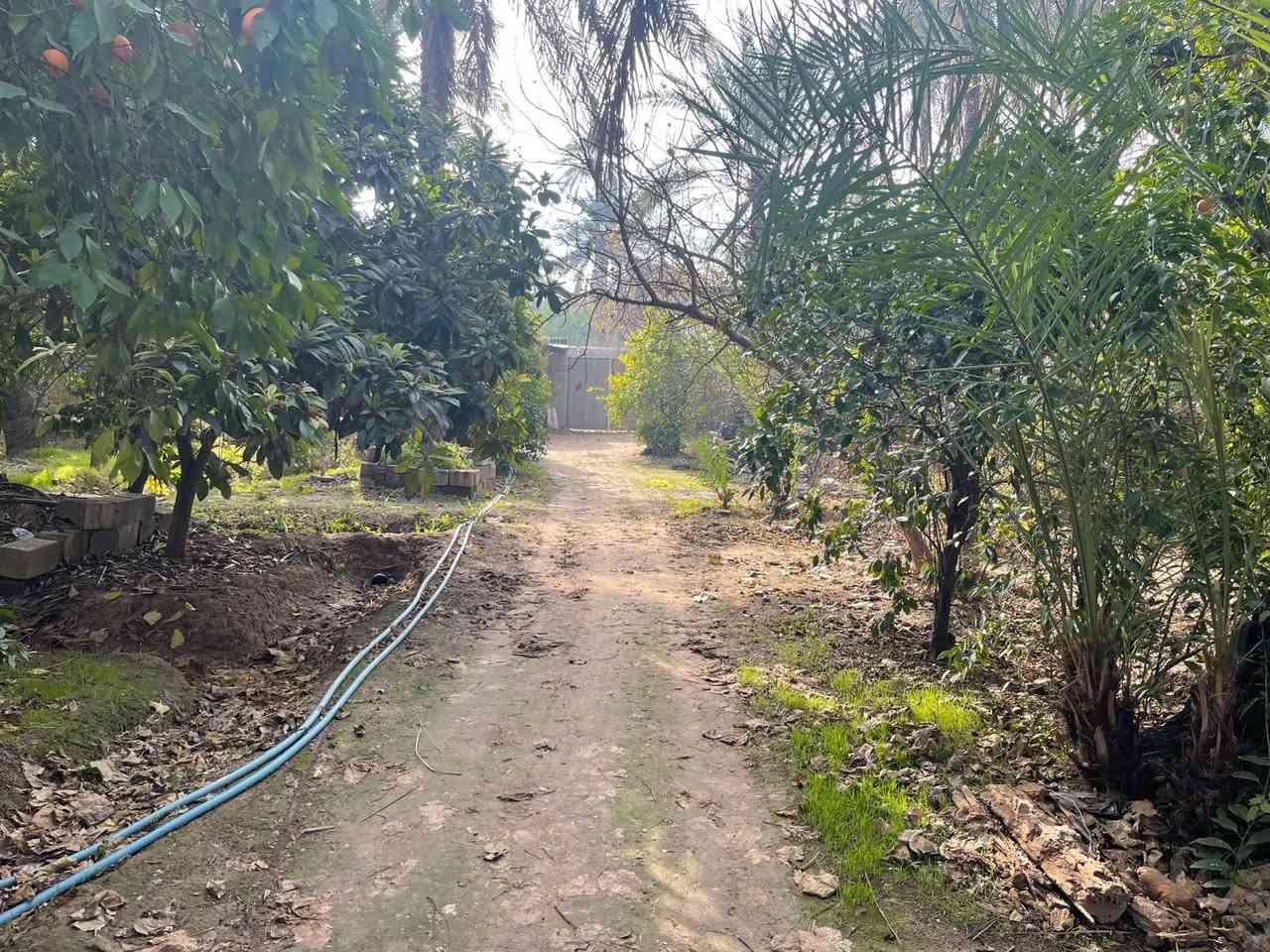 🌷🌹بساتين عدد 2 للبيع / ديالى خانقين / كوجة باغ جلوه طابو صرف 
واحد منهم 10 دوانم 
والثاني 4 دوانم  / مثمر اثنينهم 

السعر / كل دونم 70 مليون 

للأستفسار اكثر اتصال بالارقام فقط 
***********
***********
مكتب فريا موفق للعقار
