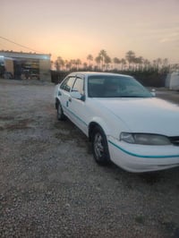 برنس • تحويل مباشر • رقم بابل