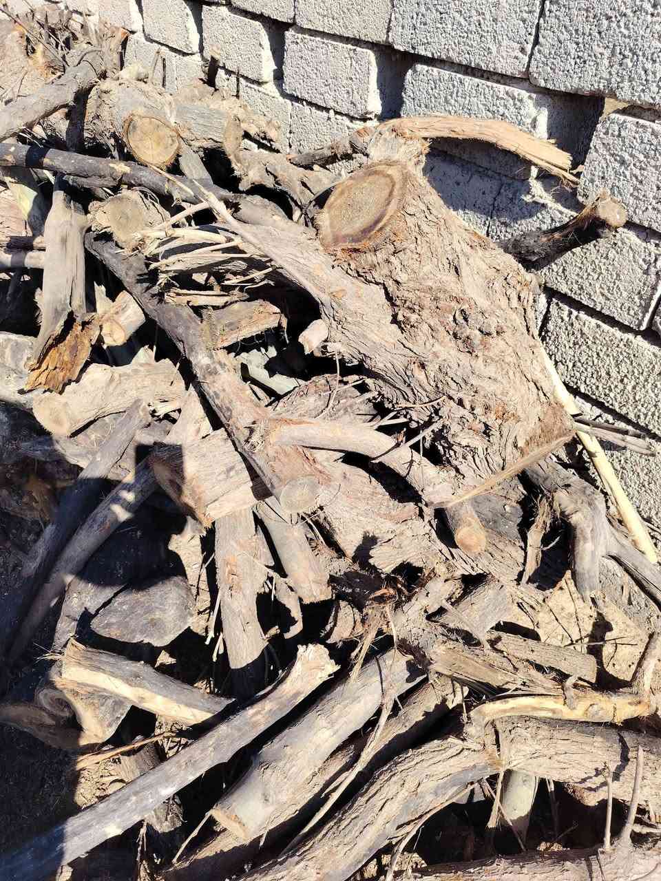 السلام عليكم يوجد منشار لقطع الشجار اتصل وادلل ***********
