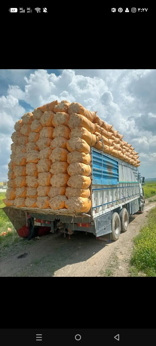 سلام عليكم يوجد تبن البيع طحن ناعم شرط نظافة فول حجم شليف الطول 120 العرض 90 
يوجد توصيل الي كافه محافظات العراق أقل كمية 400 شليف سعر خاص


**إذا كنت صاحب هذا الإعلان وتريد حذفه لأي سبب، رجاءا أرسل رسالة إلى الدعم الفني**