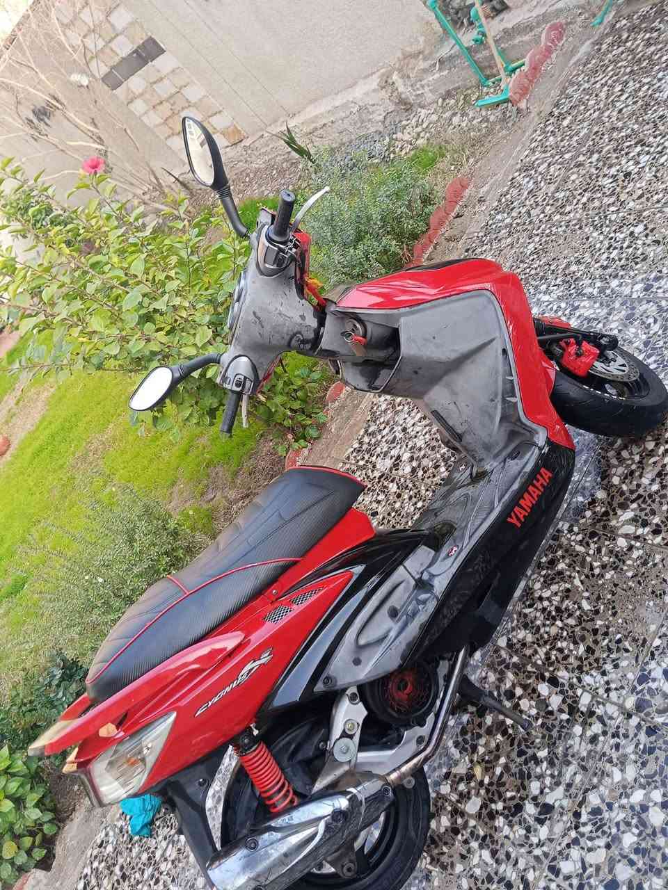 سلام عليكم سكنز فحل يباني كفاله عامه تجي تاخذه من باب البيت مكاني بغداد الشعله رقمي *********** غير متوجد على فيس فقط ابيع ماروس
