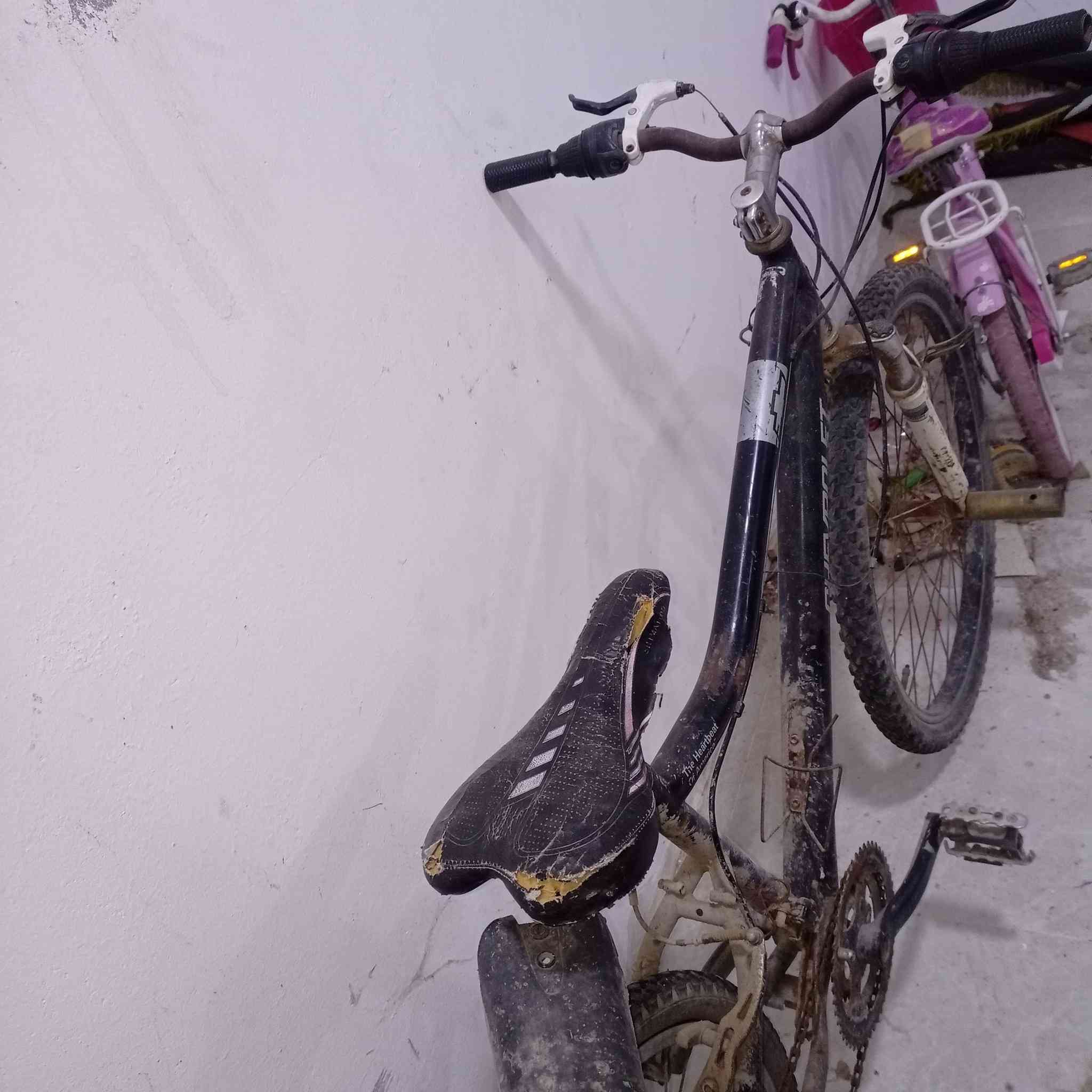 سلام عليكم بيسكل لبيع مال باله شركه امريكي اصلي سعر ٤٠ عوزه جيوب وره بريكات فالتات عوزهن ضب مكان عرضات


**إذا كنت صاحب هذا الإعلان وتريد حذفه لأي سبب، رجاءا أرسل رسالة إلى الدعم الفني**