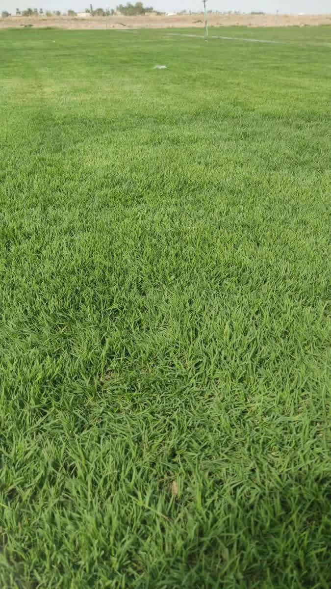 باسعار ثيل ديالى الطبيعي 🏡
أهلاً بكم في مجموعه مزارع ديالى لثيل الهندي الطبيعي 🌿🌱

 نقدم لكم افضل انوع الثيل الطبيعي عالي الجوده يتحمل كافه الضروف البيئية.🌦️🌞

دائم الخضرة🌿🌳 وباسعار تنافسيه وعروض مميزة ☘️❤️

#مستعدون لتجهيز وفرش الحدائق🏡 ودوائر الدولة🏡والمنازل🏡🏡

و تجهيز الملاعب🏟️ والمنتزهات بانسب الاسعار مع ضمان الجودة العالية في العمل👷👷

مع خدمة التوصيل خلال24ساعه🚛🚛  

الاسعار 💵💸 تختلف حسب الكمية 

للاستفسار الاتصال على : 

او التواصل مع الصفحه عن طريق ارسال رسالة على الوتساب او الاتصال📞‏***********
