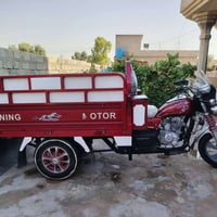 ستوته • ٢٠٢٢ • شاصي شرط