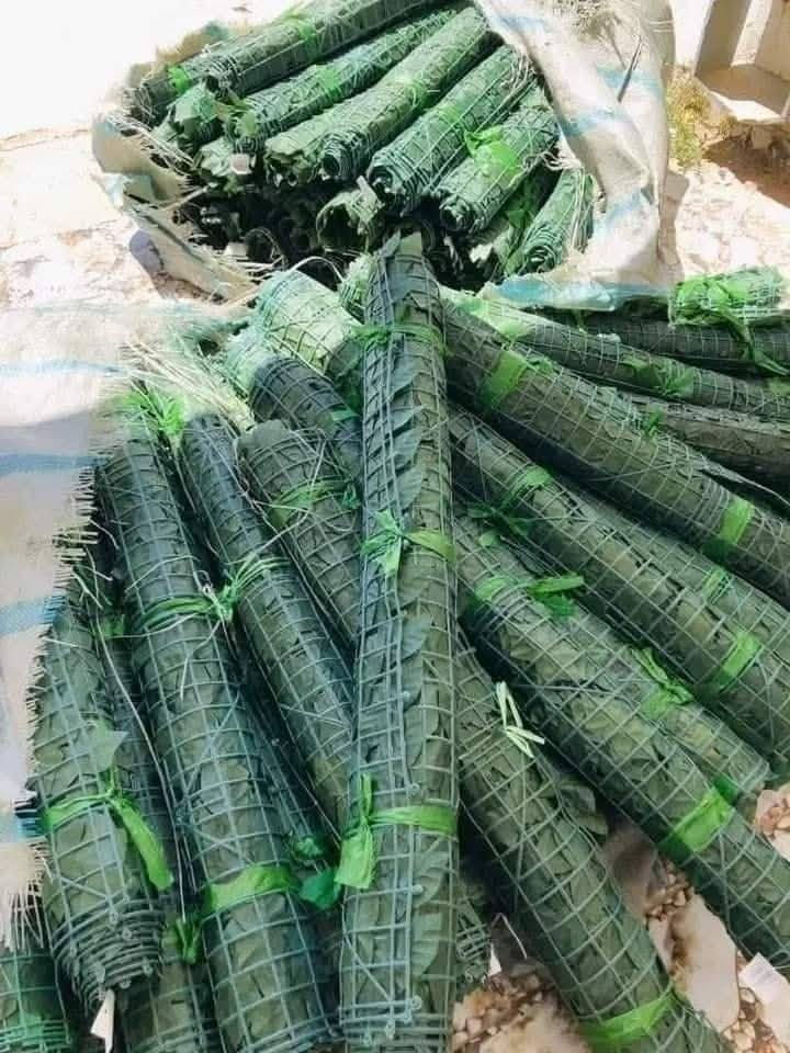 نقدم لكم افضل المنتجات و بأرخص الاسعار


**إذا كنت صاحب هذا الإعلان وتريد حذفه لأي سبب، رجاءا أرسل رسالة إلى الدعم الفني**