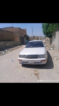 بطه • شامية • ديوانيه