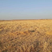 اسديرة • 10 دوانم • واجهة شارع