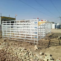 اخوان لبيع محجر كيه فحل رتفاع متر و20 مكان بغداد تقاطع نهروان 07762243...
