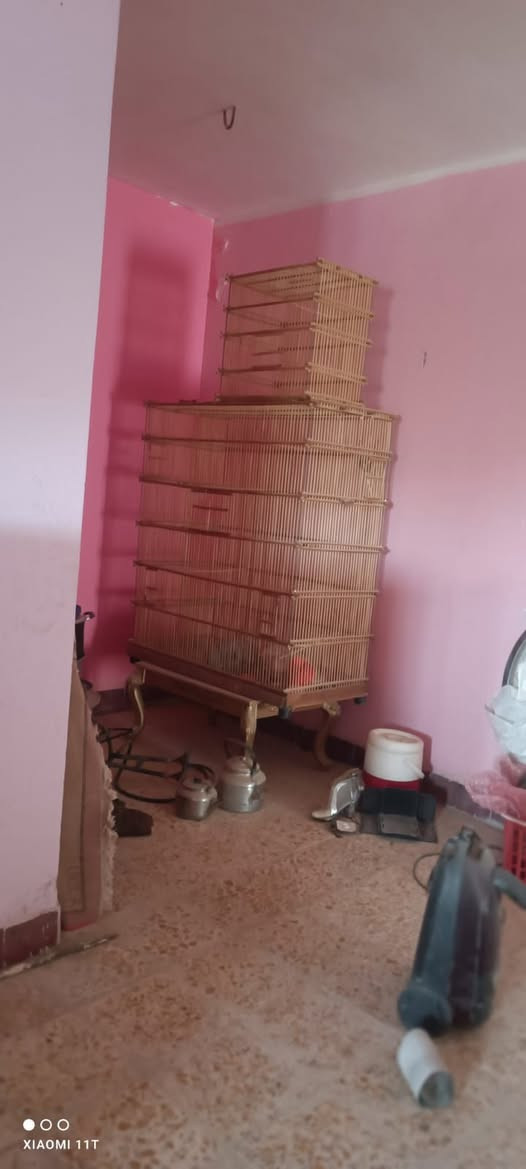 قفص تكاثر كبير
العمق مالته  60 وارتفاعه 140

والعرض 120  خشب جاوي متيبر ومسقول كله مستخدم 4اشهر

ومتروك اركانه براغي ونتات وبي جوه طلاكه للتنضيف ، اربع بوب صغار ثنين للاكل وثنين للاعشاش  وباب رئيسي  بالوجه، وزنه خفيف بالنسبه لحجمه

سعره ١١٠ وبي مجال الاستفسار *********** مكاني ناصريه مركز
