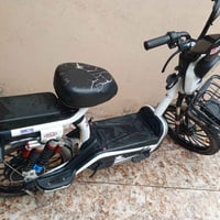 دراجة شحن • حجم ٢٠ • ٦٠ فولت