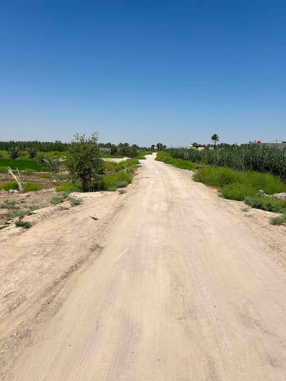 ✅توجد ٣ دوانم للبيع طابو زراعي ٢٥ كافه الخدمات 

✅الموقع طريق كربلاء نجف عمود ١١٤١ منطقة الجذار قرب مدرسه المجتبي 

سعر الدونم ٧٥ مليون وبيه مجال للشراي 

للاستفسار الاتصال ***********
