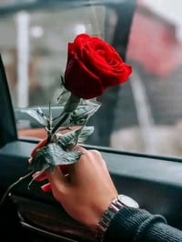 حي ١٩ • ٢٠٠م • شارع عام