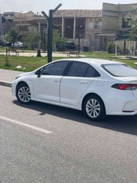 كورله مطلوبه للمصرف بسمي وزوجتي كفيليتي صارلي شهر من ستلمته بعدهي زيرو...