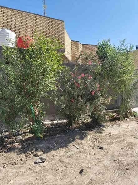 يوجد لدينا دار سكن للبيع ٢٠٠م حي الفداء حي الكرامه بناء حديث مسلح السعر ١٤٥مليون مع المجال للاستفسار الاتصال على الرقم ***********
