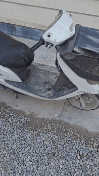 اخوتي هذا الماطور مجفت تجفيت درجه اولى نكرة سلف الله شاهد ماطور من محرك وكلشي مكفول 
بس صار عندي خلل لو طبك لو الكتف مالت شحن الماطور دفرة مايوصل نارية الا تجطل على باتري يشتغل بس من يكعد باتري مايشتغل دفرة 
ابيع على حالته مكفول تجفيت درجه اولى 
سعر حتى لادوخك 250 ولو تفر السوك ماتلكه مثله ورخيص ومضبوط تصليح 25 ماياكل عندك 
اني طالب سادس وروحي طالعه مابيه حيل اضل اصلح واصلا انتساب وماطلع بي وياه علبة نوتلا هدية واذا نجحت من السادس اعزم الشراي على غدة و نطي ملازم ودعولنا بالموفقية


**إذا كنت صاحب هذا الإعلان وتريد حذفه لأي سبب، رجاءا أرسل رسالة إلى الدعم الفني**