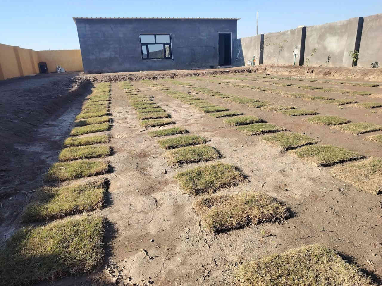 مزرعه للبيع مساحه ٤٠٠ متر ع طريق دغاره ديوانية خلف مطعم واثق بلمازارع.  وجها ١٥ ونزال ٢٧ شارع سبيس ماي كهرباء كامله تبعد عن شارع ١٥٠ متر ***********
