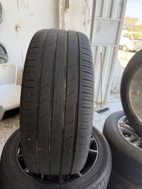 تخم بلاك توب • حجم 20 • كربلاء اطوريج