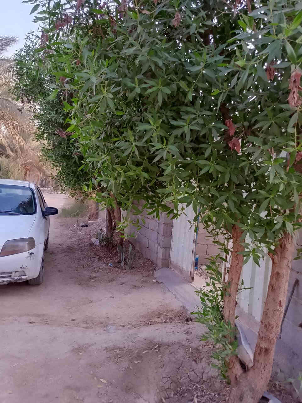 الدار للبيع + قطعه ارض 300 متر في الكفل منطقة الامام زيد بن علي سعر مناسب جدا
***********
