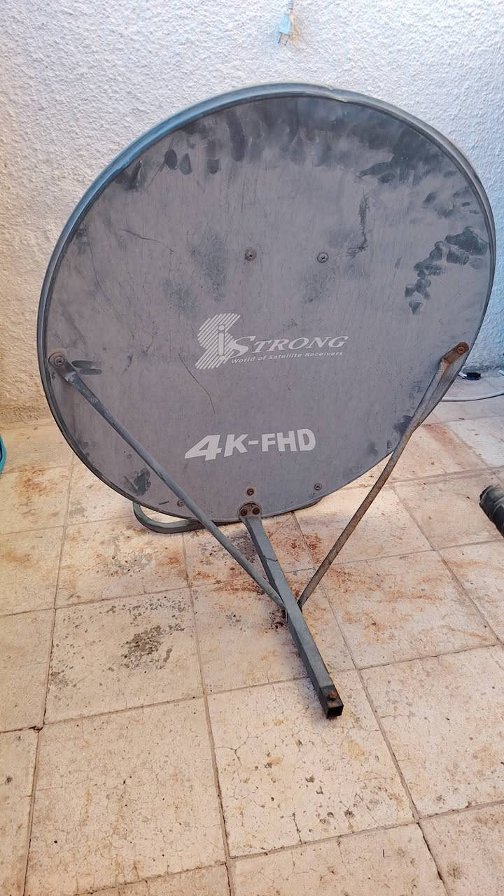 للبيع نظيفات وسعرهن مناسب


**إذا كنت صاحب هذا الإعلان وتريد حذفه لأي سبب، رجاءا أرسل رسالة إلى الدعم الفني**