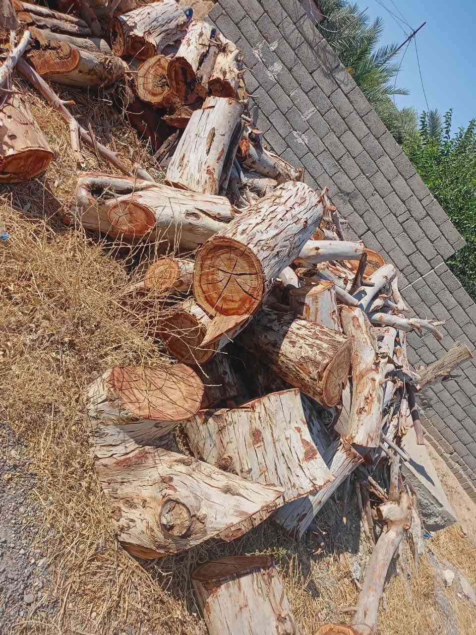 سلام عليكم يوجد خشب مثل ما موضح بل صوره للبيع بي تقريبن 3كيات *********** غير متواجد عل فيس ما يمي واتساب اتصل وتدلل

