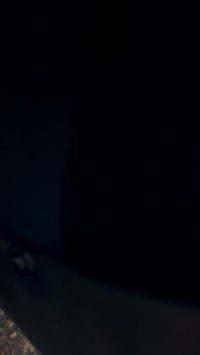 بويه دبابه • تشحيم • حراري اصلي