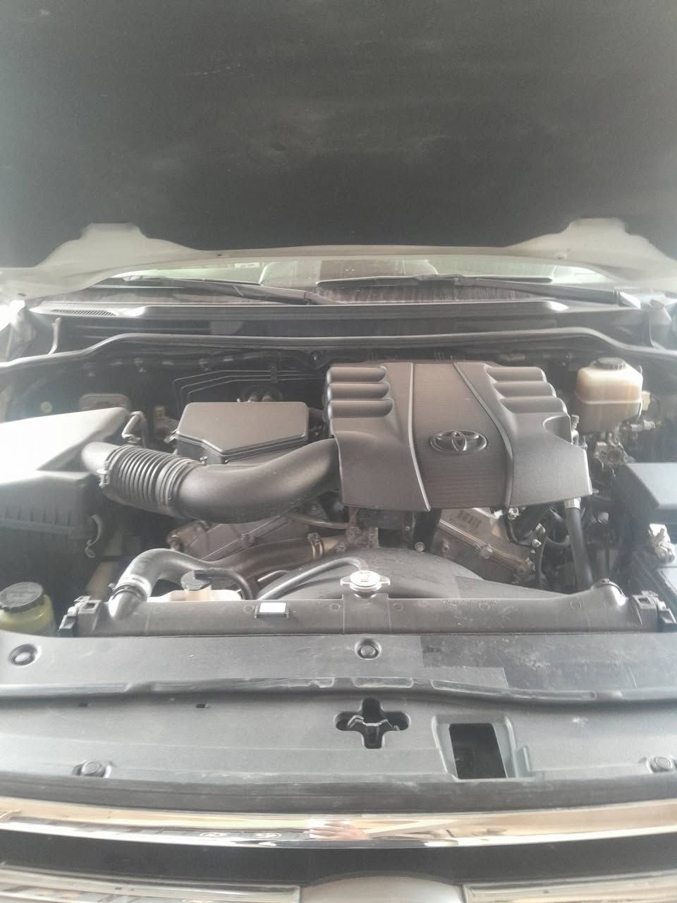 سلام عليكم خوتي مديل ١٧ مكفوله كفاله عامه بسمنه بغداد  سعر ٥١ وبيه مجل مكاني بغداد سياه احلاه منل صور ***********
