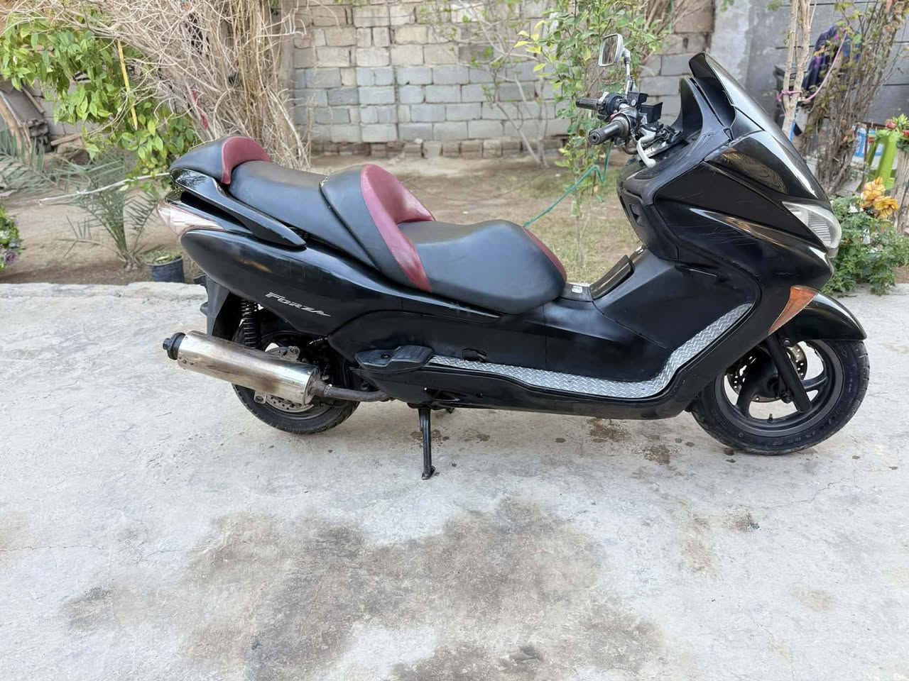 السلام عليكم ورحمة الله وبركاته فورزه صفر 9 كريستال يعني اسود لابوبي يعني واحد علئ واحد ابو سمره الحنين وحش بالشارع  نكره بكل وقت  (للبيع او مراوس) بدراجه كير فقط  اخوتي  دراجه مال جناي كهربايات كلها شغاله شرط  اوراقه جاهزه ونضيفه دراجه شلعه ومعدل فول ومكفوله كفاله عامه اترايك اطلع لبصره شرط( اترجاك لا تخابرني تكلي شنو نقصها مابيها اي نقص نكره بكل وقت الشراي يتصل وعيوني اله مكاني بابل
رقم تلفوني اتصال او اتريد واتس اب هم موجود
***********
