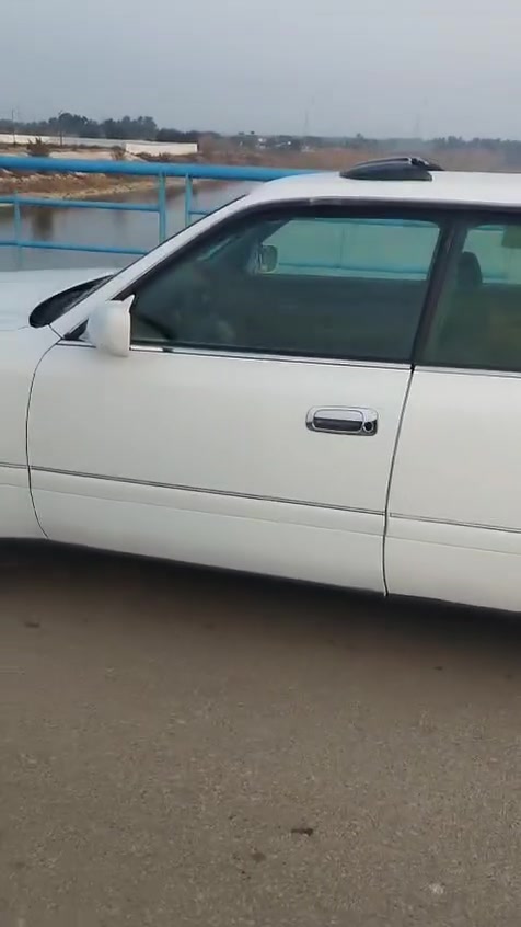 راس الثور 97مكفوله كصه ونقل جثه واصوليات بيه صبغ جاهزه للبيع أو المراوس حسب القناعه السعر 85 ديوانيه الشاميه لتواصل ***********
