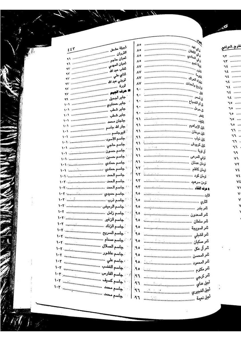 #كتاب القاموس العشائري :
للمؤلف الشيخ احمد العامري الناصري..تأريخ نشر الكتاب سنة(٢٠٠٩ م)في بيروت -لبنان /دار الرافدين..
صفحه ١٠٢ من الجزء ٢ الشيخ جاسم آل حاج علي
متوفر جزئين تم نشرهم في قناة تلي كرام..https://t.me/thbt98
🔹متوفر لدي على هيئة pdf في برنامج تلكرام على المعرف thbt98…مع العديد من الكتب..


**إذا كنت صاحب هذا الإعلان وتريد حذفه لأي سبب، رجاءا أرسل رسالة إلى الدعم الفني**