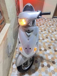 ماكس منغولي • كفالة عامة • ديوانية