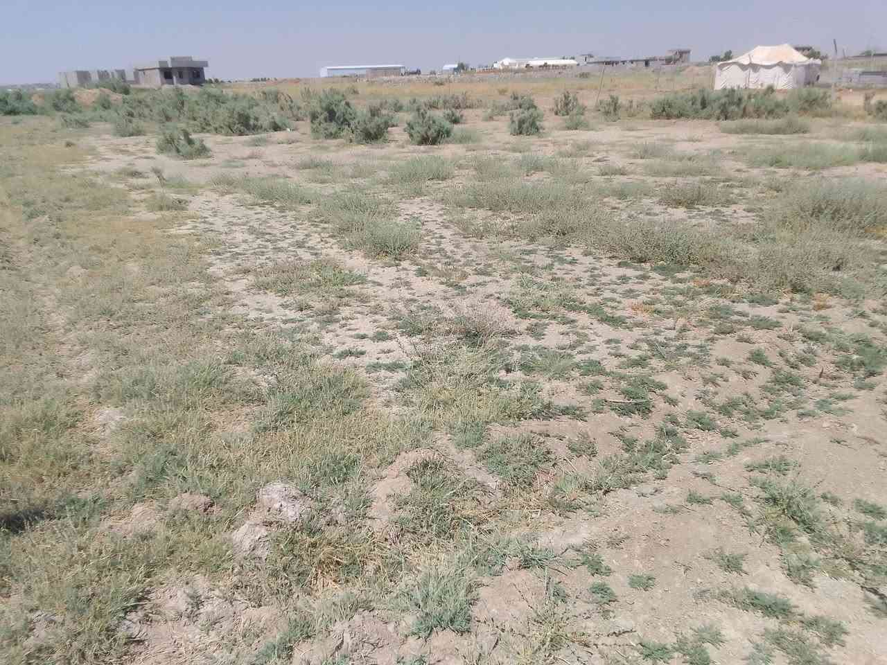 🛑🛑اسلام عليكم 💥أرض للبيع مساحتها 500/

واجه 14/موقعها يم قاعه الياسمين 💥 

💥متوفر جميع الخدمات مي وكهرباء 

صايره ركن على شارعين 

ترهم سكني ومزرعه 💥

سعر خاص او اتصل 🛑

👈👈***********👉👉
