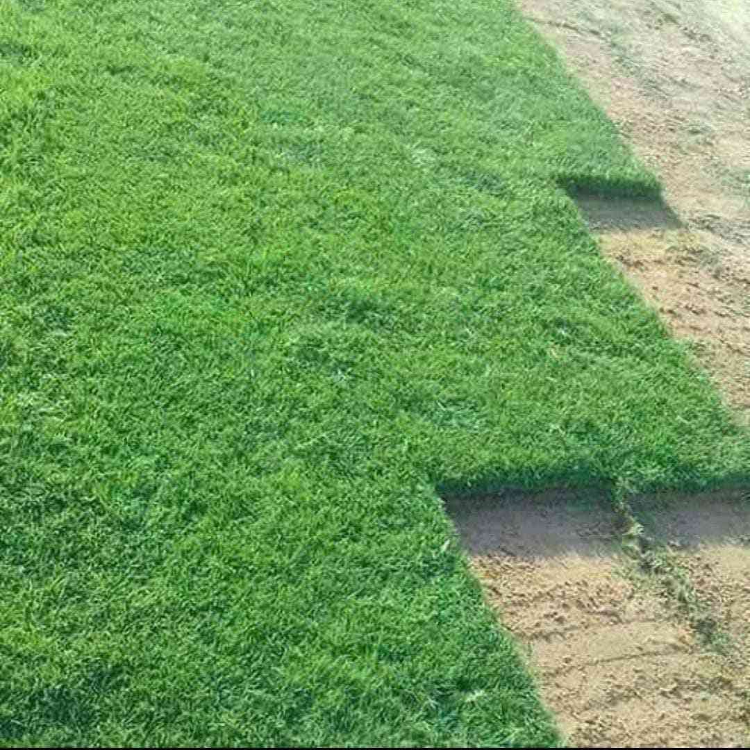 #الخبرة  في زراعة الثيل الطبيعي
زبائننا الكرام 
متوفر كافة انواع الثيل الطبيعي 
الثيل الامريكي🌿الثيل الهندي🌿الثيل الايطالي 🌿الثيل الفرنسي
مع كادر مختص يجيك لباب بيتك
بسعر مناسب وكفاءة عالية
نجهز كل انواع الحدائق
والملاعب والمتنزهات 
والمشاتل ودوائر الدولة
الاسعار تختلف بختلاف النوع

للطلب او الاستفسار التواصل مع الصفحة او الاتصال على الرقم 

***********
***********
