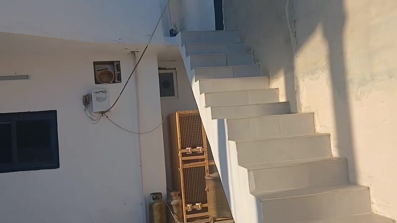 بيت طابقين زراعي معمل طابوق 

قرب البيطره 

السعر ١١٢ مليون 

***********
0771358740
